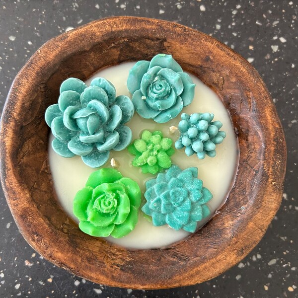 Succulent Bowl Etsy