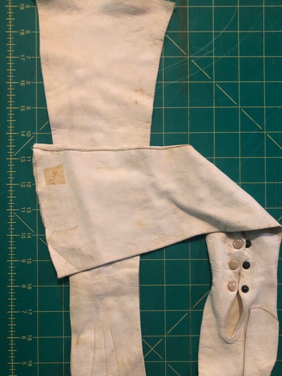 Antique Cream Colored Kid Leather Opera Gloves, T… - image 4