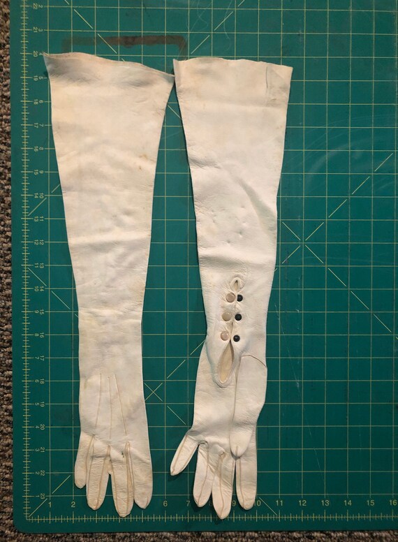 Antique Cream Colored Kid Leather Opera Gloves, T… - image 3