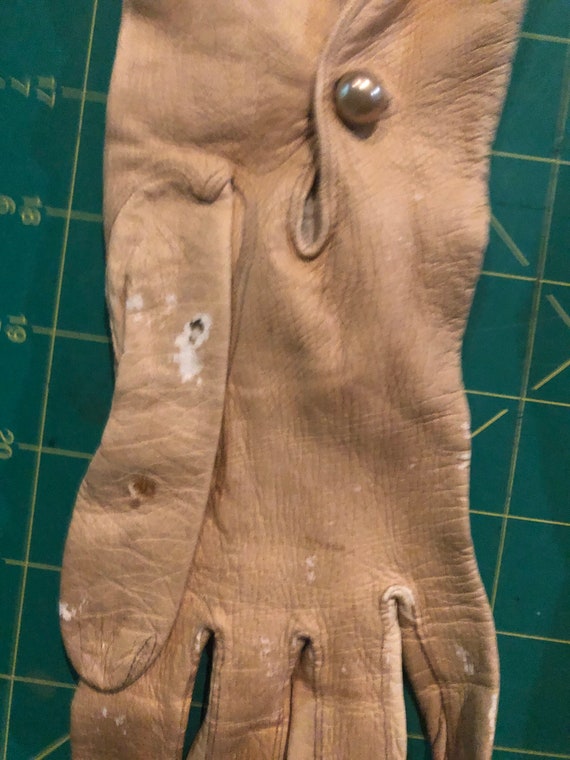 Antique Cream Colored Kid Leather Opera Gloves, T… - image 10
