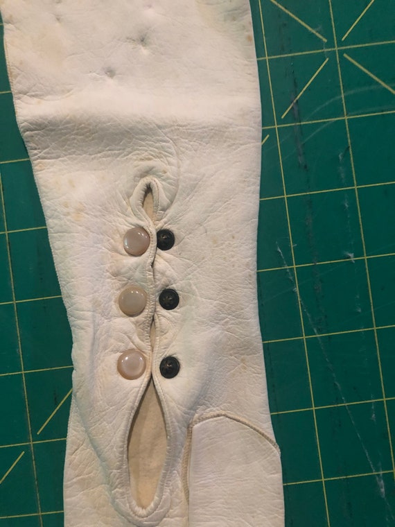 Antique Cream Colored Kid Leather Opera Gloves, T… - image 5