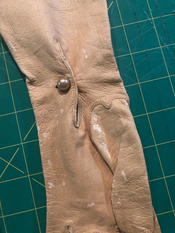 Antique Cream Colored Kid Leather Opera Gloves, T… - image 9