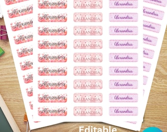 Lotsa Hearts Valentines Personalized Labels, Valentines Day Canva Editable Name Labels For School