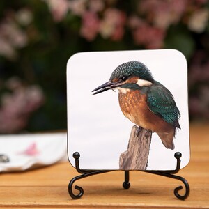Kingfisher Coaster - Juvenile Bird Coaster - Wildlife Tableware - British Bird Homeware - Nature Lover Gift - Wooden Drink Coaster