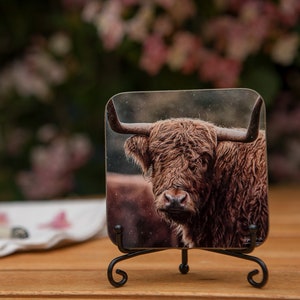 Highland Cow Coaster - Soggy – Wooden Drink Coaster – Scottish Animal Photo Gift – For Highland Coo Lovers & Cattle Fanatics