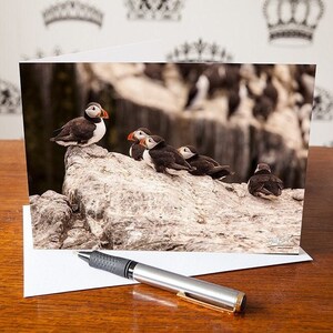 Carte de voeux macareux - mignon bébé macareux - blanc à l'intérieur - anniversaire - anniversaire - merci - cadeau animalier - carte pour amoureux des macareux