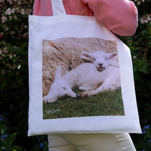 Sleeping Lamb Tote Bag – Sheep Lover Gift – Cute Farm Animal – Reusable Shopping Tote – Sheep Farmer Gift – Birthday - Mother’s Day Present