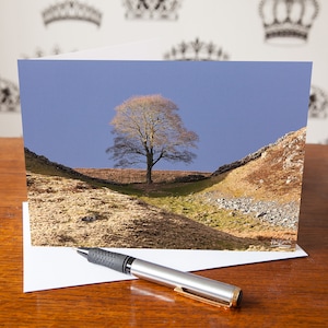 Sycamore Gap Greetings Card – Northumberland England – Catching the Light – Hadrian’s Wall Tree – Blank Note Card – Birthday Card – Art Card