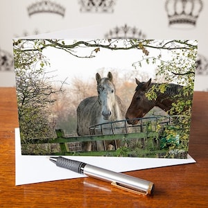 Carte d'anniversaire cheval - Carte de voeux chevaux au pâturage - Jolie carte poulain - Cadeau pour amoureux des chevaux - Intérieur vierge - Carte amusante pour un ami - Merci
