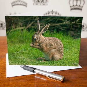 Hare Greetings Card – Hares Art Card – Wildlife Card – Hare Birthday Card – Anniversary Card – Valentine’s Card – Cute Animal Gift