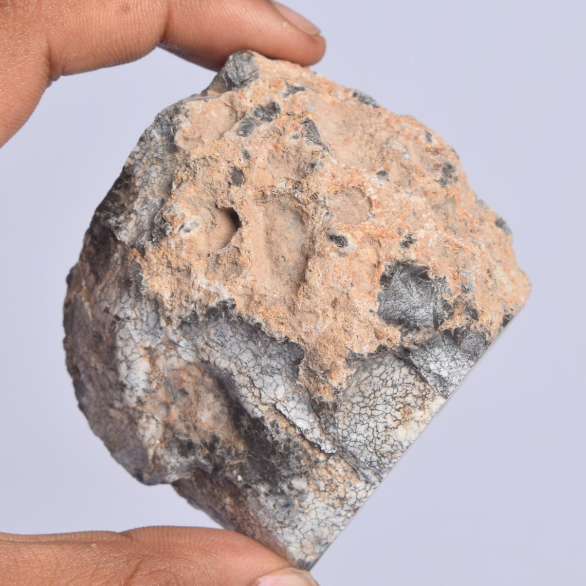 adult dendrite opal adult dendrite opal