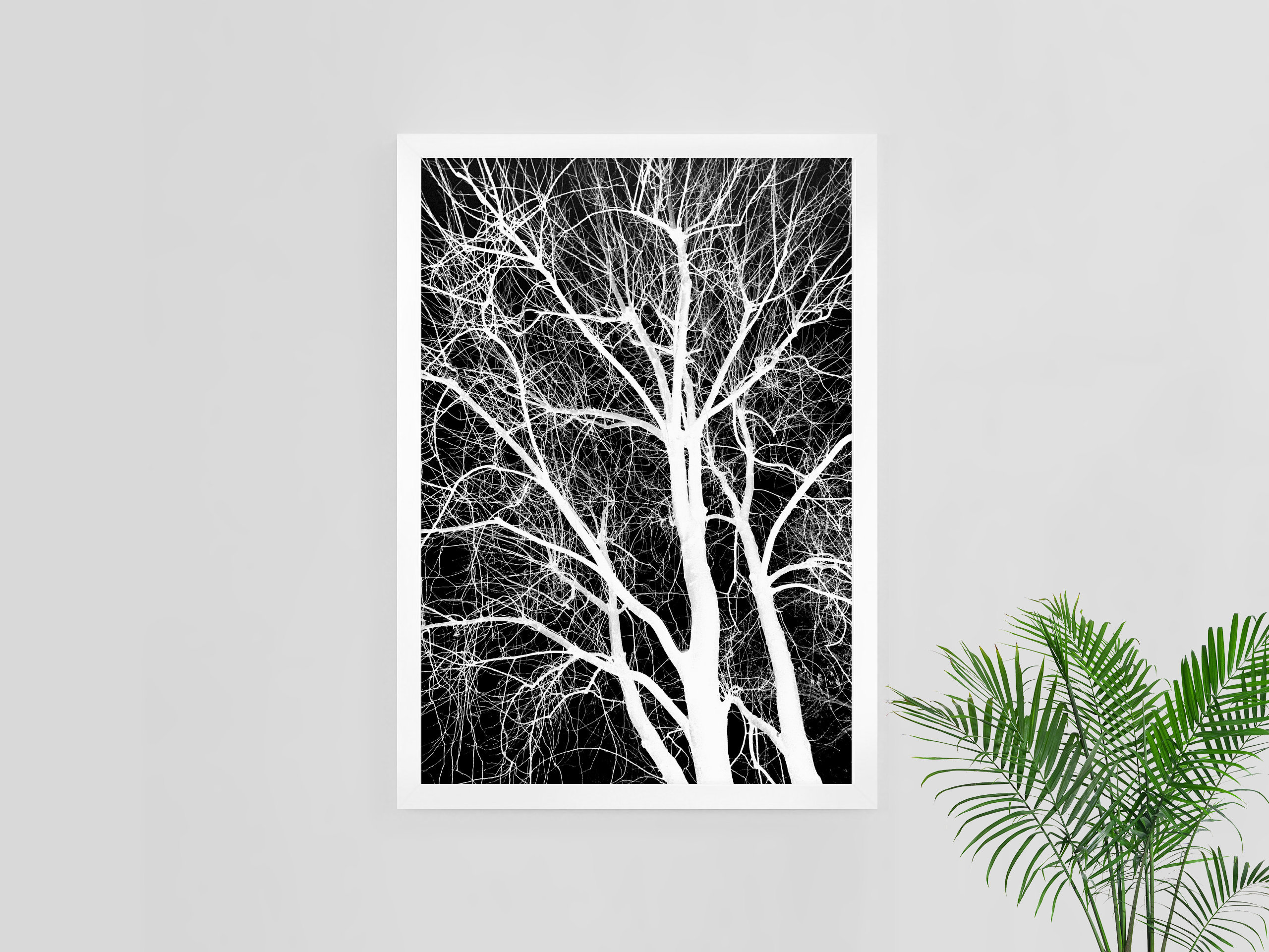 Foto de árbol en blanco y negro / Arte imprimible / Foto de paisaje