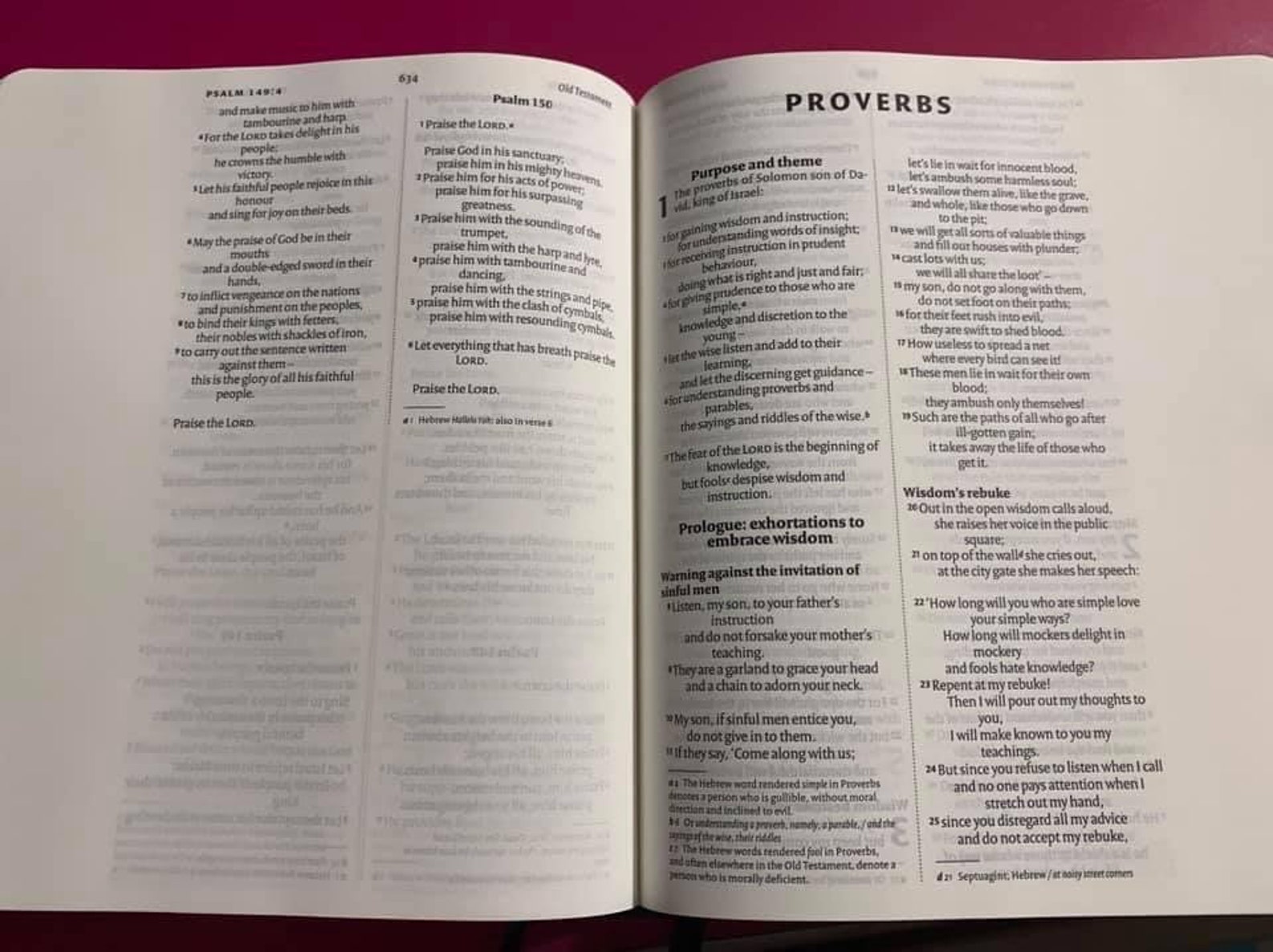 NIV Bible for Journalling and VerseMapping Package with Tabs Etsy