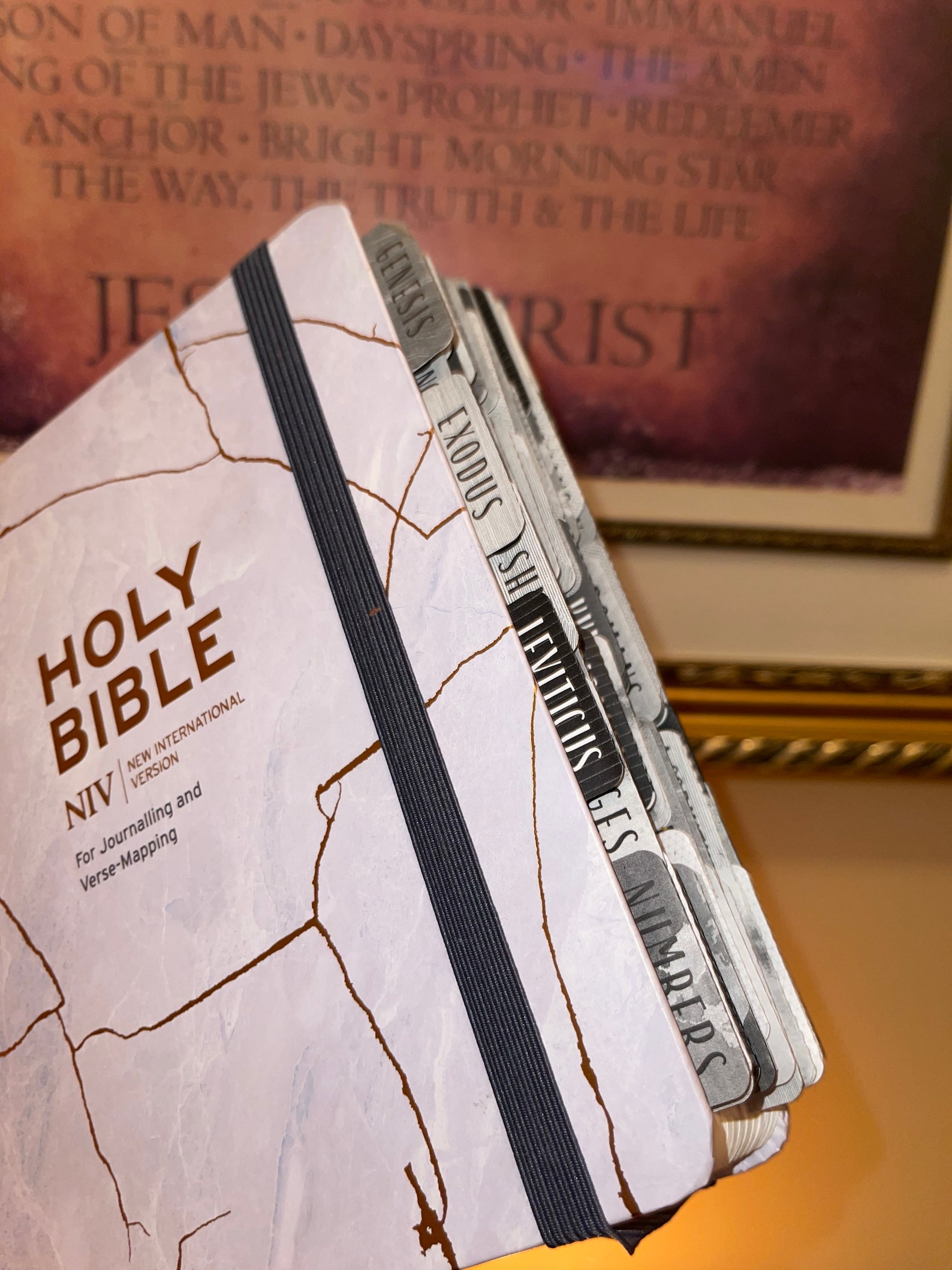 NIV Bible for Journalling and VerseMapping Package with Tabs Etsy