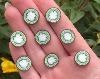 Kiwi Slice Magnets or Drawing Pins