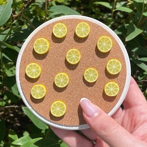 Lemon Slice Magnets or Drawing Pins