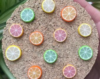 Citrus Magnets or Drawing Pins