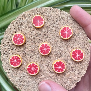 Blood Orange Slice Magnets or Drawing Pins