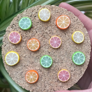 Citrus Magnets or Drawing Pins