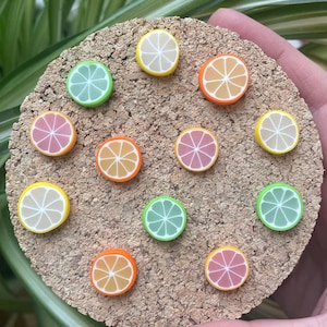 Citrusmagneten of punaises