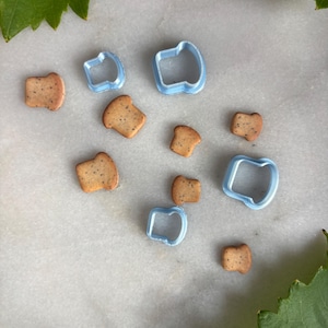 Könnte beinhalten: Draufsicht auf mehrere kleine, toastförmige Kekse in Beige, die um drei hellblaue Ausstecher herum verstreut sind. Die Kekse haben ein gesprenkeltes Aussehen. Der Hintergrund ist eine hellgraue Oberfläche mit grünen Blättern in den Ecken.