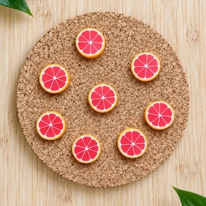 Blood Orange Slice Magnets or Drawing Pins