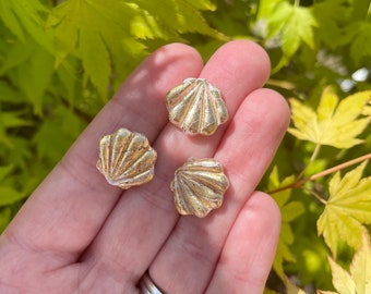 Goldleaf Clam Shell Magnets or Drawing Pins