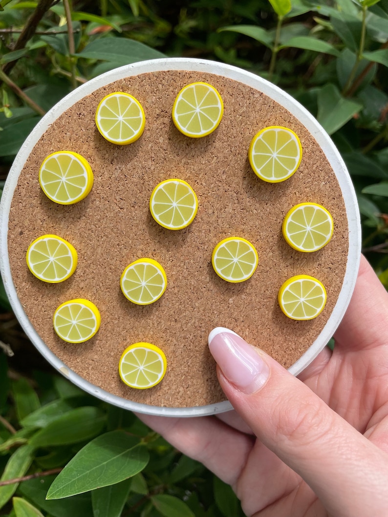 Lemon Slice Magnets or Drawing Pins