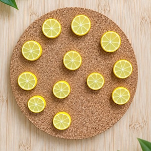 Lemon Slice Magnets or Drawing Pins