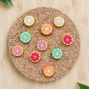 Citrus Magnets or Drawing Pins | Whole Collection