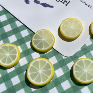 Lemon Slice Magnets or Drawing Pins image 8