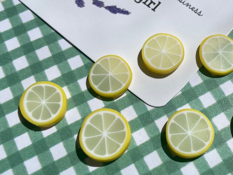 Zitronenscheiben-Magnete oder Reißzwecken Bild 8