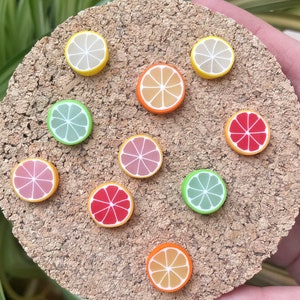Citrus Magnets or Drawing Pins | Whole Collection