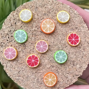 Citrus Magnets or Drawing Pins | Whole Collection