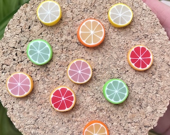 Citrus Magnets or Drawing Pins | Whole Collection