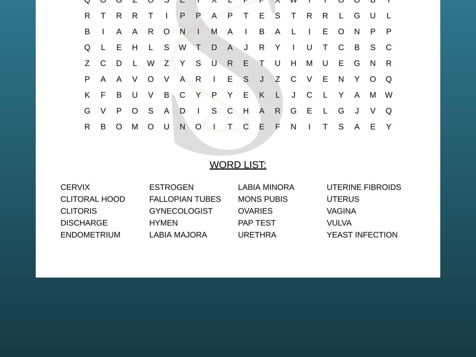 Printable Vagina Anatomy Word Search Digital Download Sexual Health ...