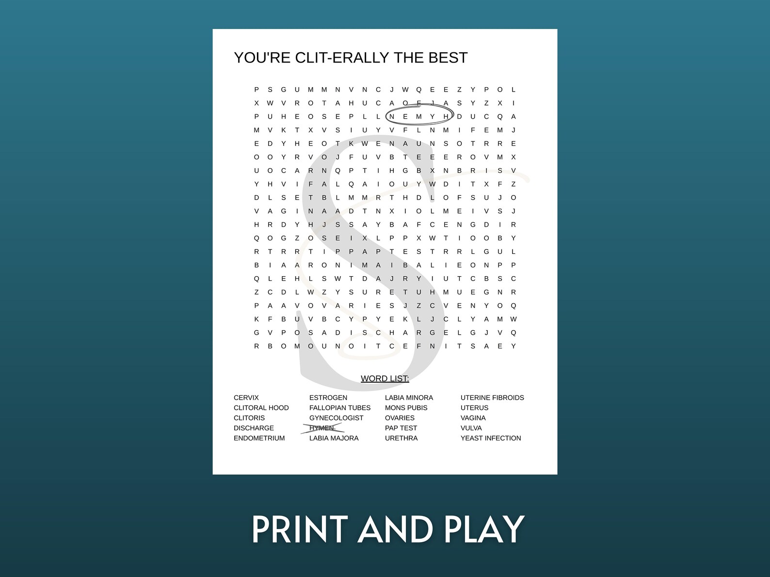 Printable Vagina Anatomy Word Search Digital Download Sexual Health ...