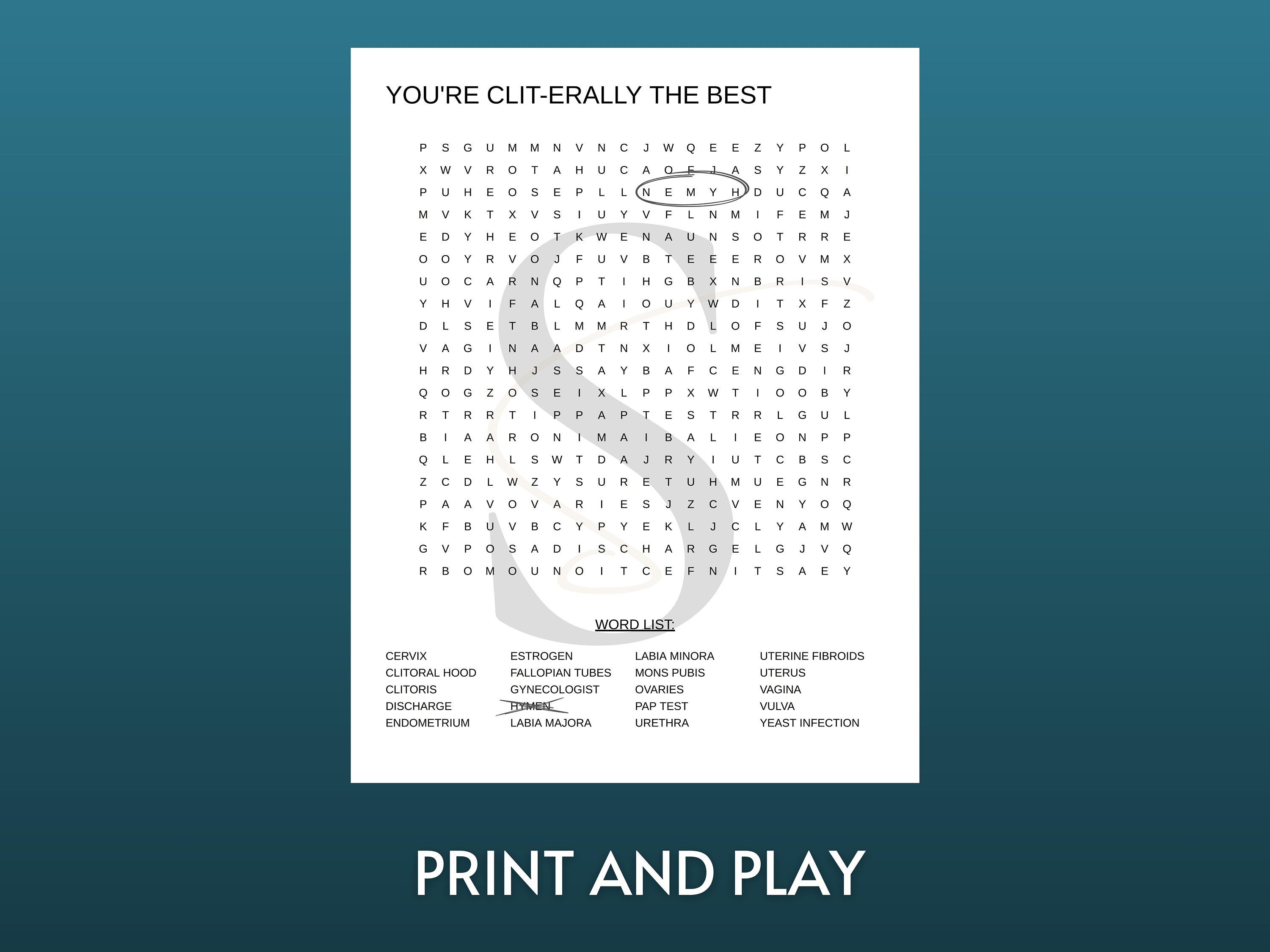 Printable Vagina Anatomy Word Search Digital Download Sexual Health ...