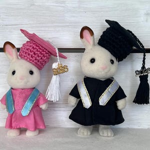 Puede incluir: Dos conejos de juguete vestidos con atuendos de graduación. Uno lleva una toga y un gorro rosas con una borla blanca y un dije "2026". El otro conejo viste una toga y un gorro negros con una borla negra y un dije "2026".