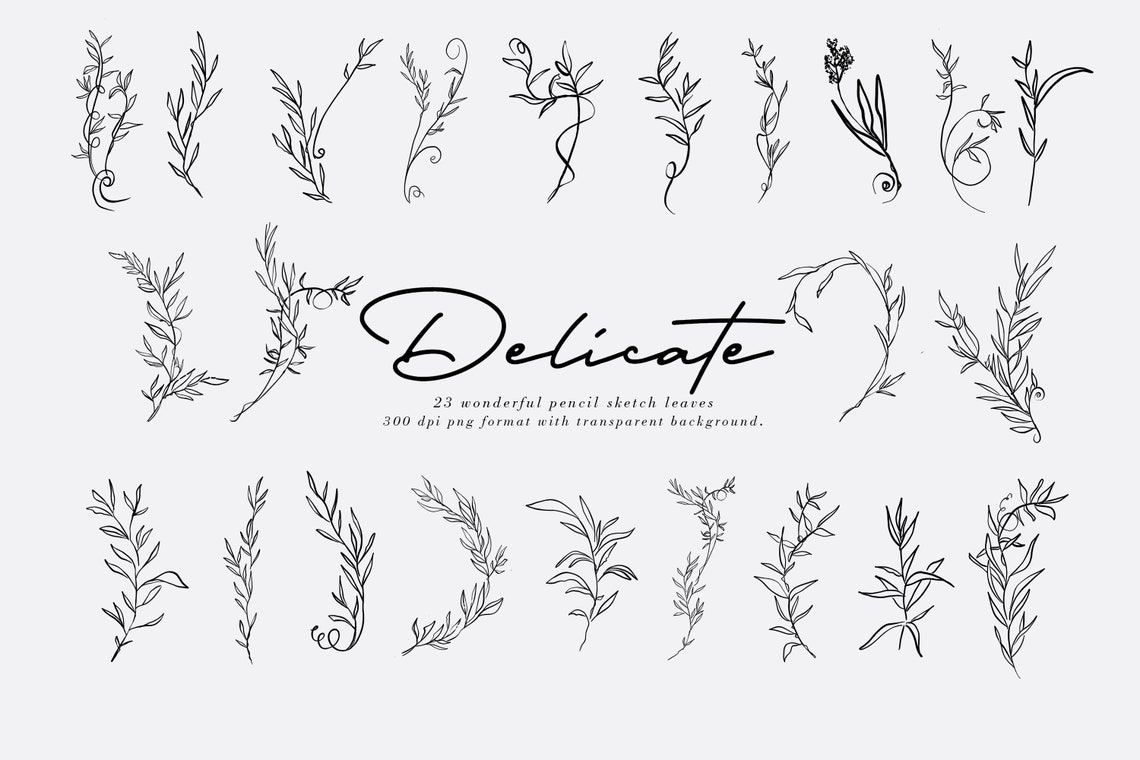 Delicate Hand drawn floral line clip art leaf floral clipart | Etsy