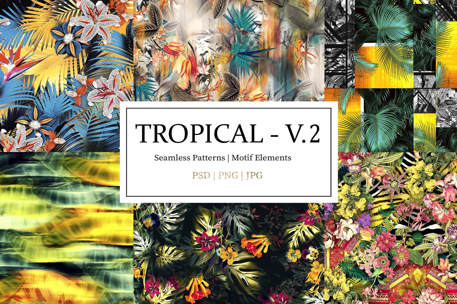 Tropical 5