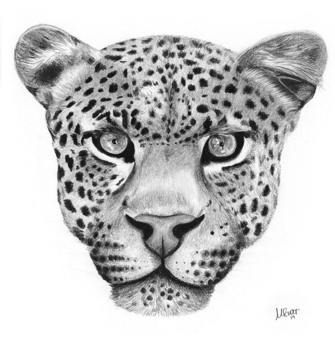 Leopard Print, Black and White, Leopard, Framed Art - Etsy