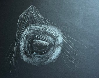 Horse Eye Study on Black | Original Art