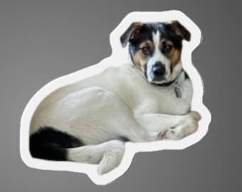 Anpassad husdjursmagnet, personligt hundminnesmärke