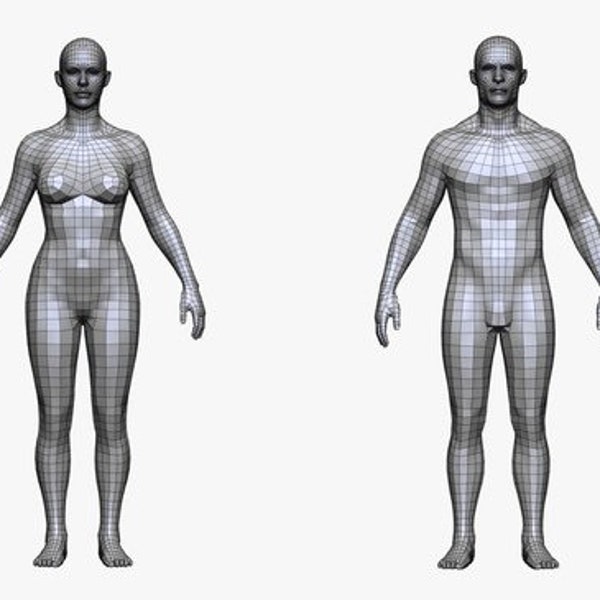 Realistic White Male and Female 3D Model Human Blender Procreate