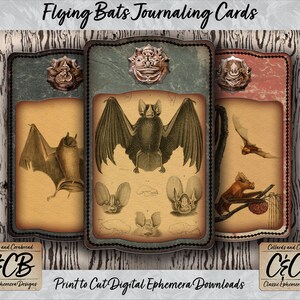 Flying Bats Journal Cards Printable Digital Download Tag Set with Grunge Details for Junk Journals, Scrapbooks & Trick-or-Treat Bag Tags