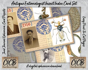 Antique Bug & Scientist Catalog Index Cards Printable Digital Download Ephemera Set for Junk Journals, Card Designs and Scrapbook Projects