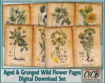 Aged Wildflower Journal Pages, Grunged Paper Ephemera (Digital Download)