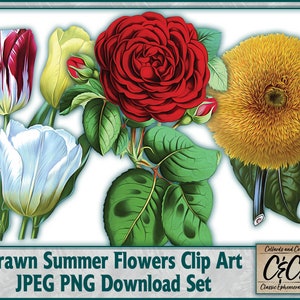 Summer Flowers PNG JPEG Clip Art Digital Download Set for Digital Designs, Junk Journals, Card Making, Scrapbooking and Other Craft Projects