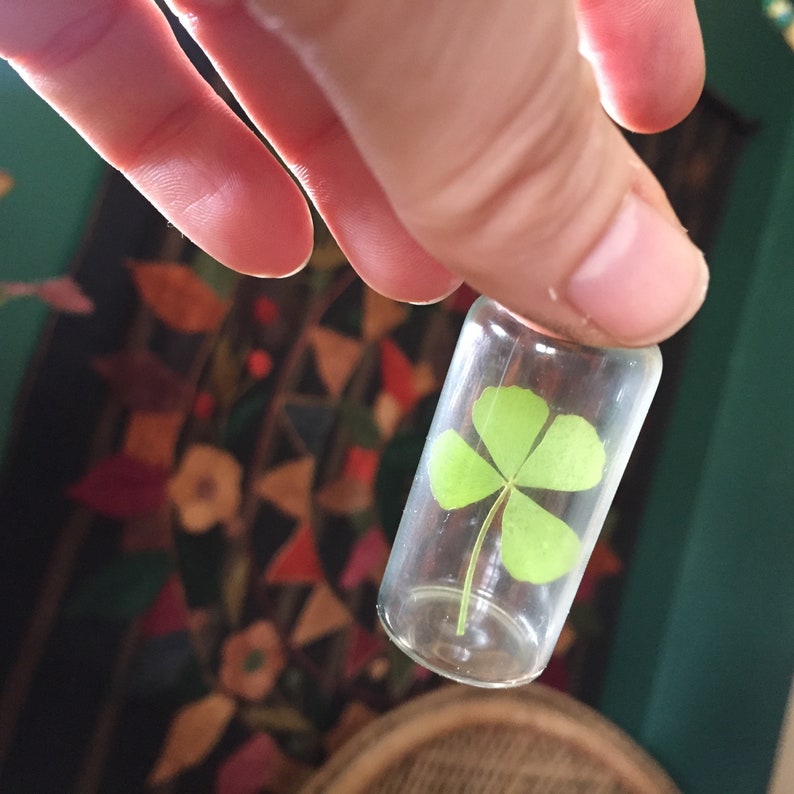 Pressed Four leaf clover in a bottle good luck gift for dad Etsy
